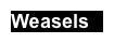 Weasels
